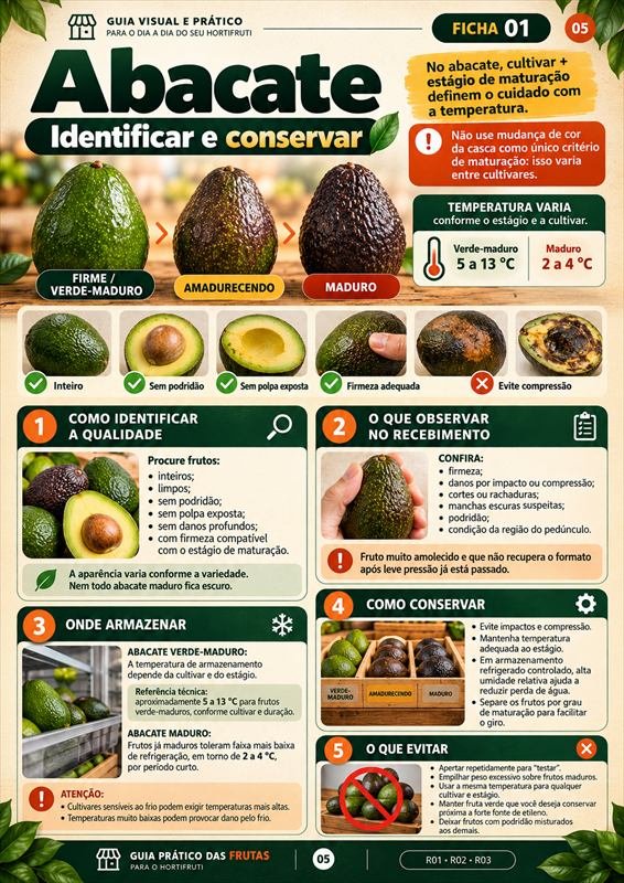 Ficha do Abacate — identificar e conservar